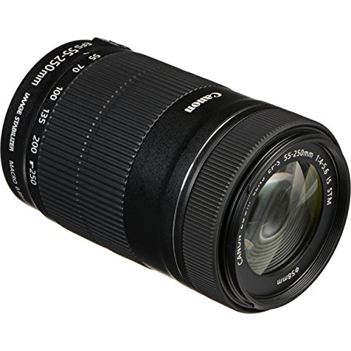 Canon 55-250mm STM