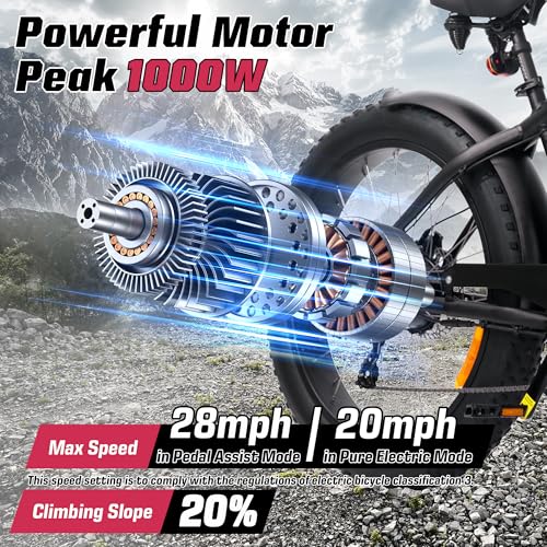E2/K20 Electric Bike for Adults, 48V 13Ah/15Ah Battery, Up to 28 MPH & 46.6/60 Miles (PAS), 750/1000W Peak Ebike with All-Terrain 20"/26''