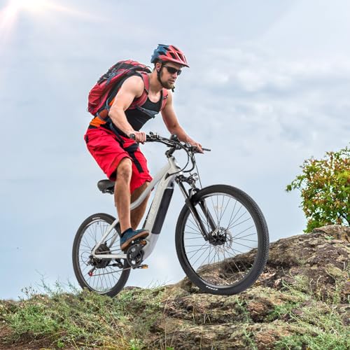 PEXMOR Electric Bike for Adults, 750W (Peak 1000W) BAFANG Motor 32MPH | 48V 14AH Removable LG Battery Mountain Ebike