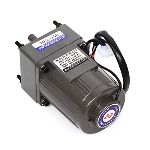 Variable Speed Geared Motor