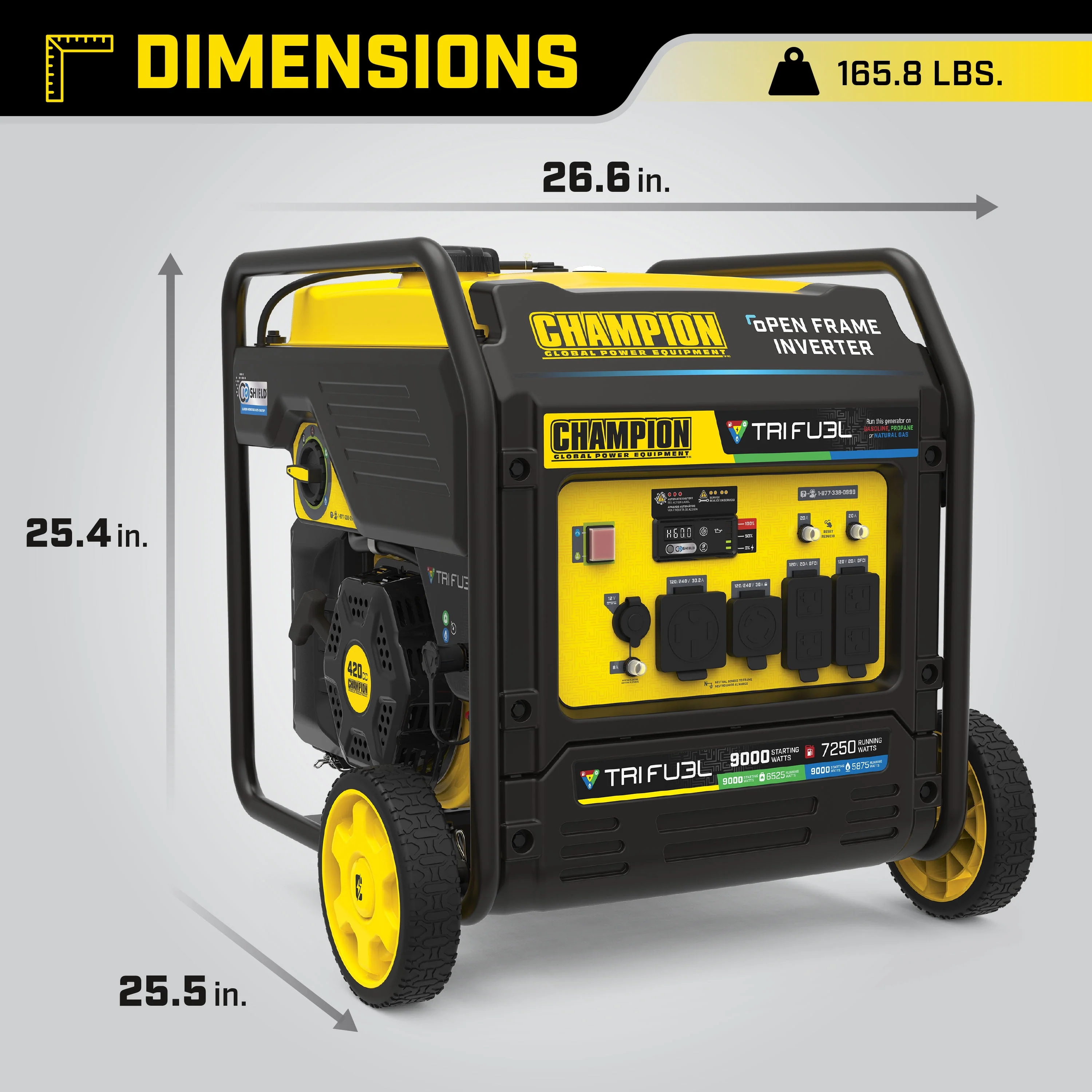 Champion Power Equipment 6875/5500-Watt Dual Fuel Portable Generator with CO Shield