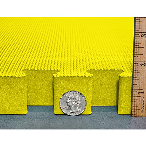 Meister X-THICK 1.5" Interlocking EVA Foam Mats - 2X Cushion for Wrestling, MMA Takedowns & Gymnastics - 2'x2' Tiles