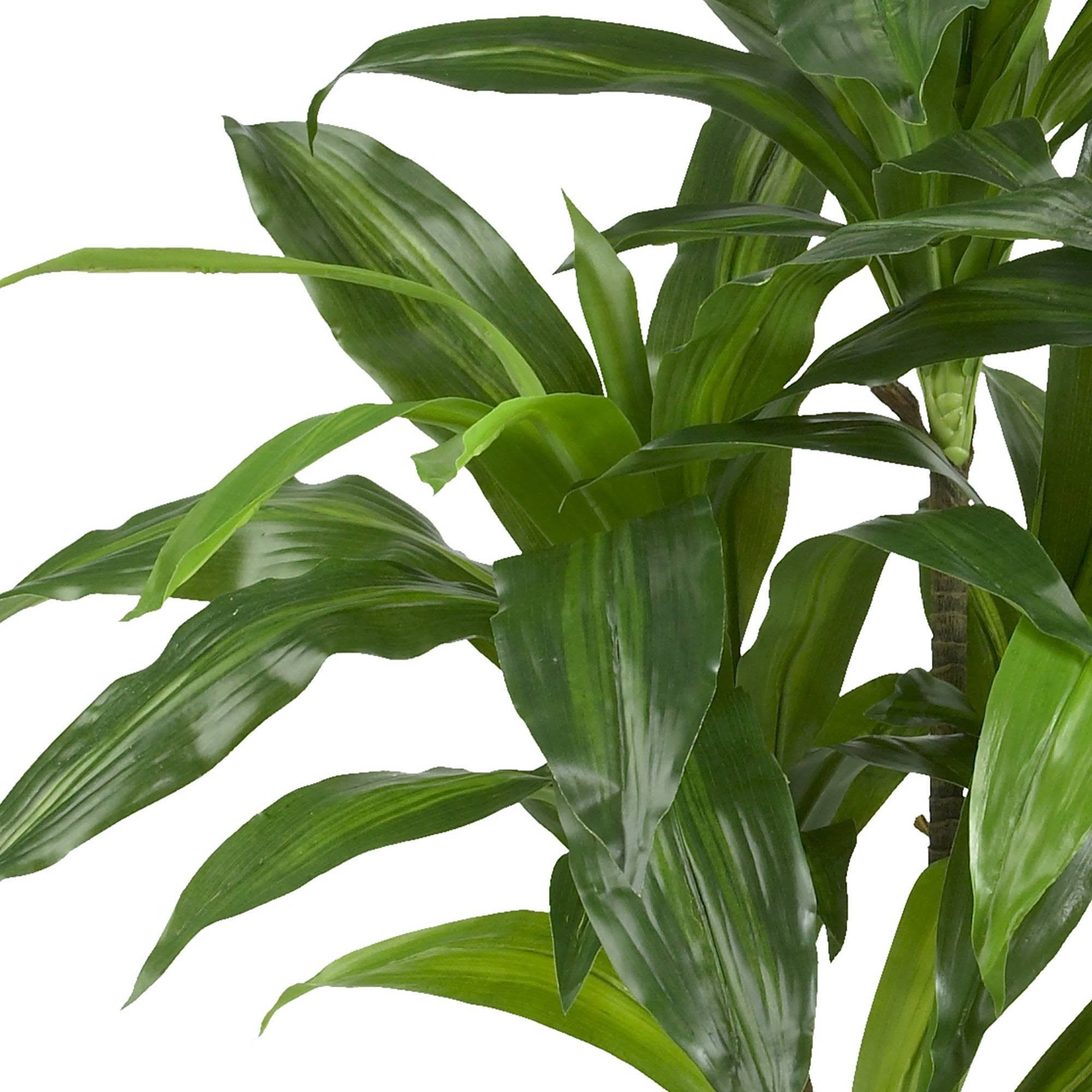 Nearly Natural 48x22 Dracaena Silk Plant (Real Touch)