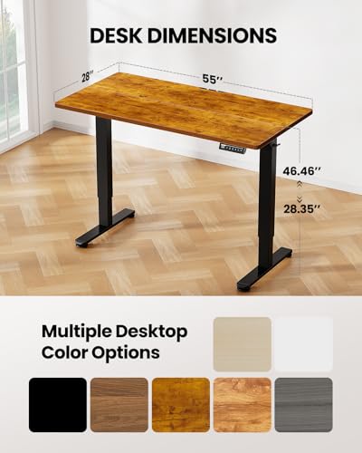 ErGear Height Adjustable Electric Standing Desk, 48 x 24 Inches Sit Stand up Desk, Memory Computer Home Office Desk with Two-Piece Desktop (Walnut)
