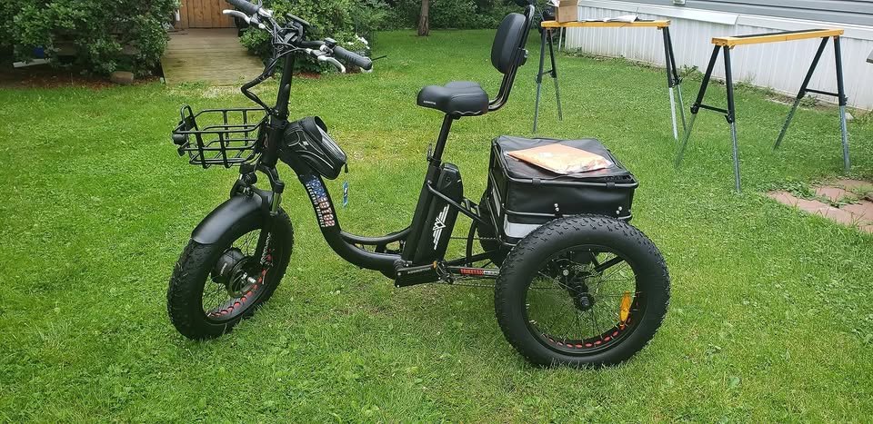 Addmotor Electric Tricycle for Adults, 85MI Long Range, 450 lbs, M330 II Electric