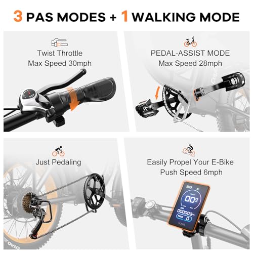 1000W Folding Electric Bike,48V 20AH Removable Battery E Bike,30+MPH,80 Miles Max Range Electric Bike for Adults,20" Fat Tire Foldable ebike