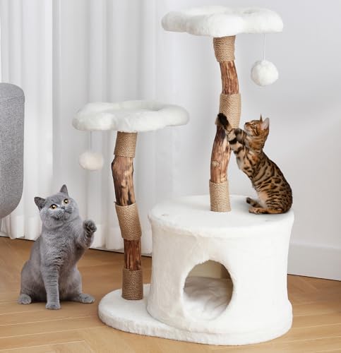 NATURAL EXPRESSIONS Modern Cat Tree and Tower for Indoor, Luxury Solid Wood Condo for Large Cats, Flower Cat Tree with Scratching Post