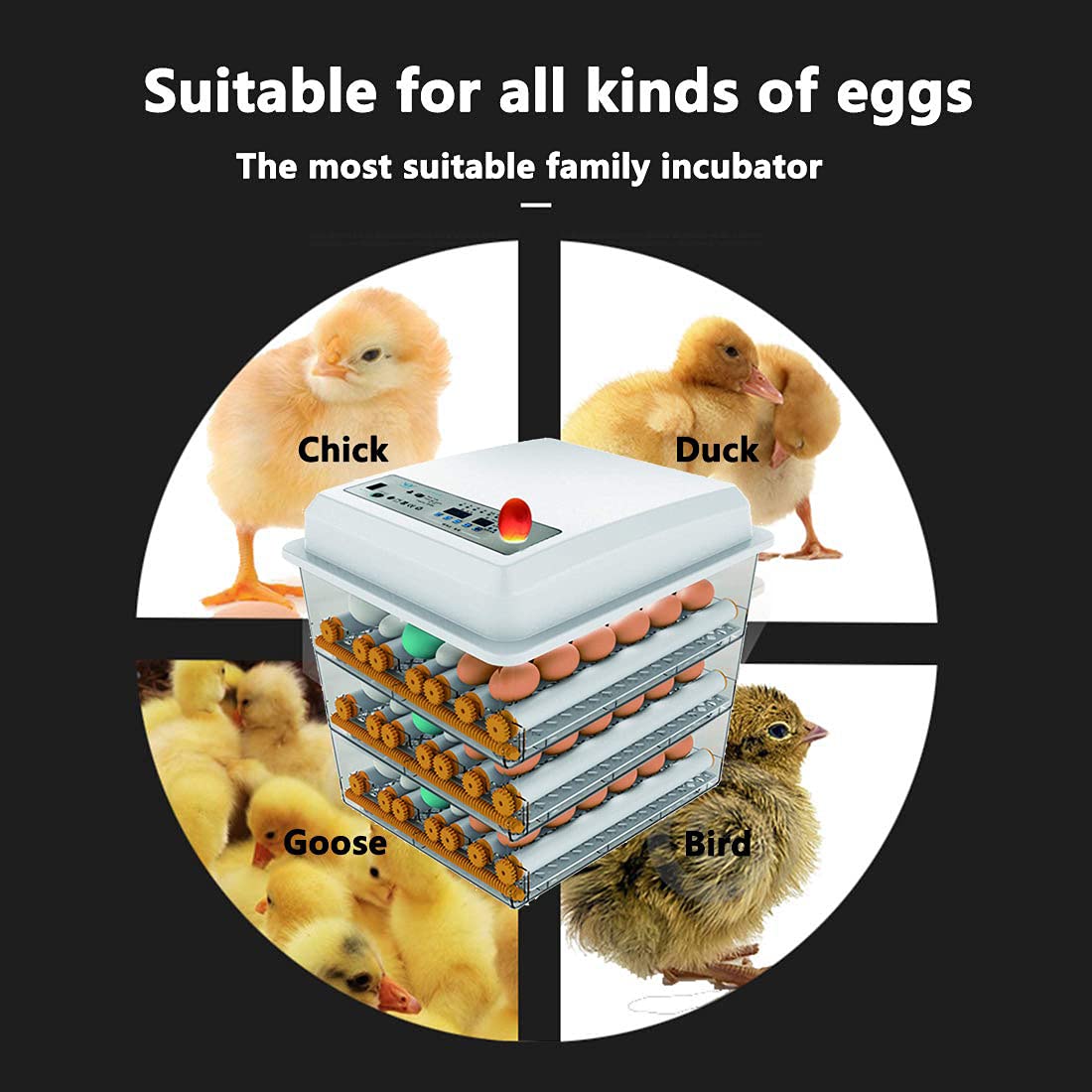 JAEDO 170 Egg Incubator Poultry Hatcher with Fully Automatic Egg Turning and Temperature Humidity Control for Chickens Ducks Goose Birds