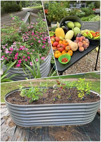 A ANLEOLIFE 8X4X1.5 ft Galvanized Raised Garden Beds Outdoor, Oval Large Metal Planter Box for Planting Vegetables Flowers Herb