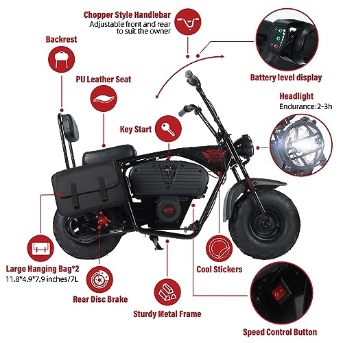 Oryxearth Electric Mini Dirt Bike, 36V Battery 1000W Motor Electrical Powered Motorcycle for Kids, 2 Speeds-15.5MPH/22 MPH, 2 Hanging Bags