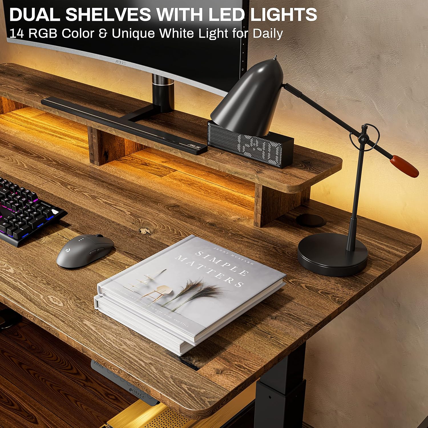 EUREKA ERGONOMIC Electric Standing Desk