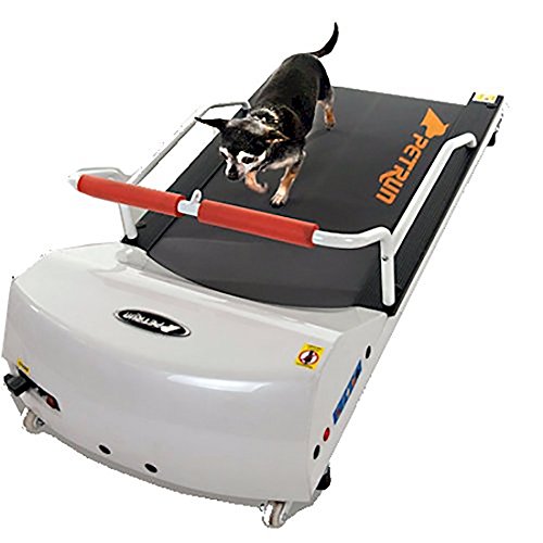 Petrun Pr700 Dog Treadmill Indoor Exercise/Fitness Kit - for Dogs Upto 44 Pounds