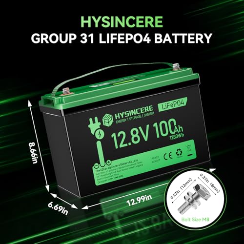 12V 100Ah LiFePO4 Lithium Battery, Mini Deep Cycle Rechargeable LiFePO4 Battery, Max.15000 Cycles Built in 100A BMS for RV, Trolling Motor, Camping
