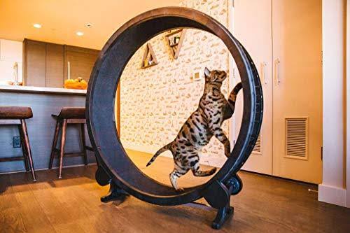 One Fast Cat Exercise Wheel (Black)