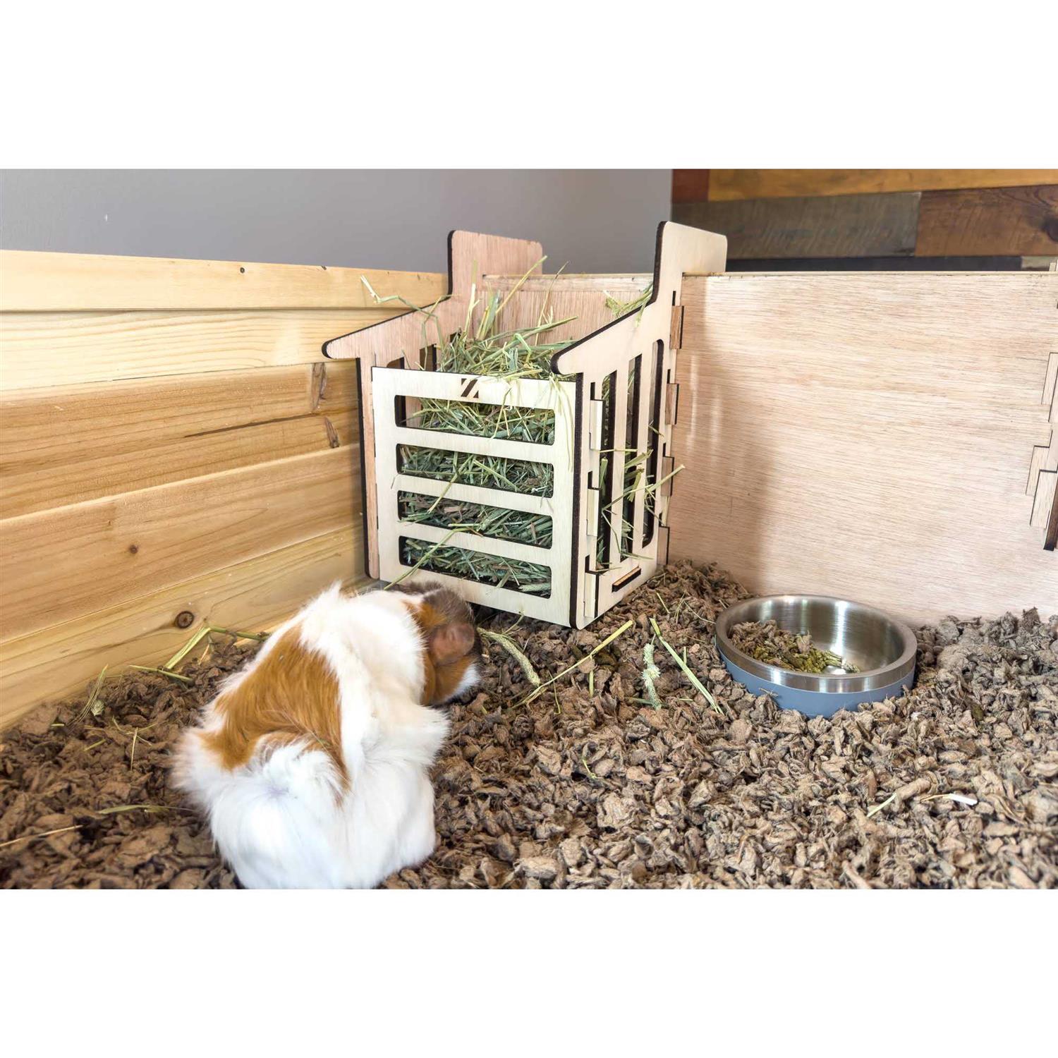 Zylina Guinea-Pig Healthy Habitat - Pet Supplies online store
