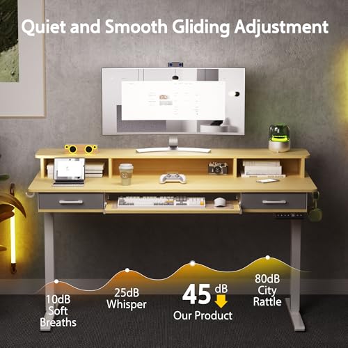 48x24 Inches Electric Standing Desk with 2 Drawers, Height Adjustable Stand up Desk for Home Office, Ergonomic Sit to Stand Table with Storage Shelf