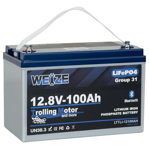 Weize 12V 100Ah TM Bluetooth LiFePO4 Lithium Battery, Built-in 120A BMS