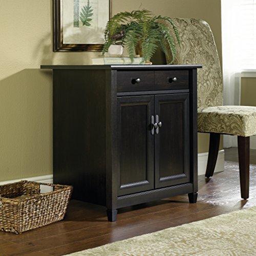 Sauder Edge Water Accent Storage Cabinet with Doors, Utility, L: 28.19" x W: 19.45" x H: 29.02", Estate Black