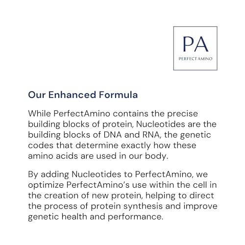 BodyHealth PerfectAmino Powder - BCAA and EAA Powder for Pre and Post Workout