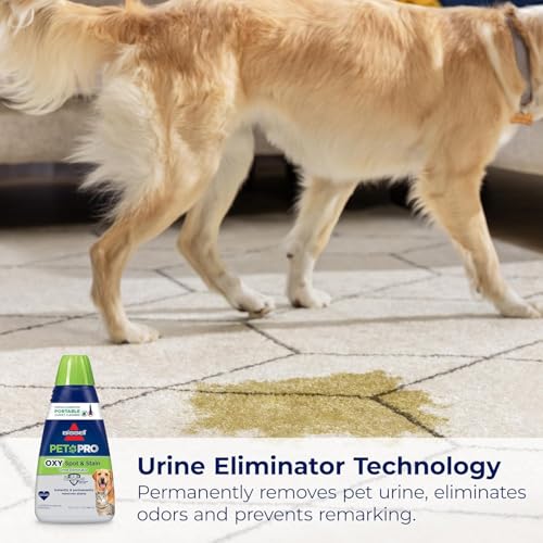 Bissell Little Green Pet Deluxe Portable Carpet Cleaner and Car/Auto Detailer, 3353, Gray/Blue - Radiant Selections