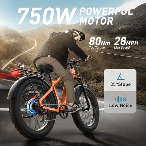 Electric Bike for Adults with 960W(Peak), 26" Fat Tire Electric Mountain Bike，48V 15AH Removable Battery Ebike
