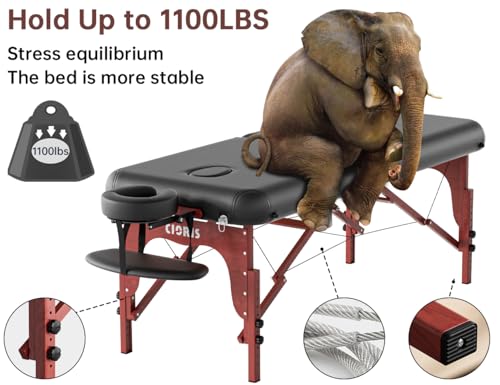 CLORIS 84" Professional Massage Table Portable 2 Folding Lightweight Facial Solon Spa Tattoo Bed Height Adjustable with Carrying Bag & Aluminium Leg