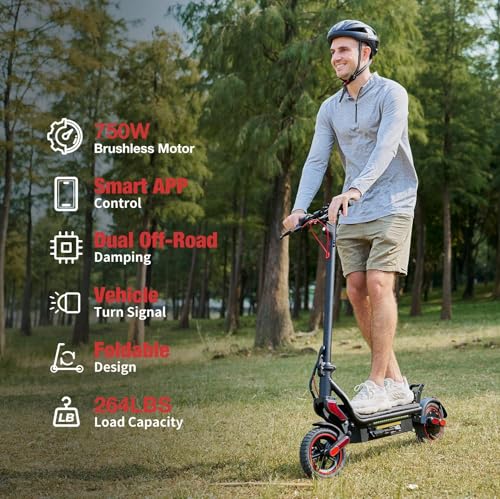 Electric Scooter, 1000W/800W/750W Powerful Motor, 28/25 MPH & 28/25 Miles, 10"/9.3" Pneumatic Tires, Dual Brakes & Dual Shock Absorbers