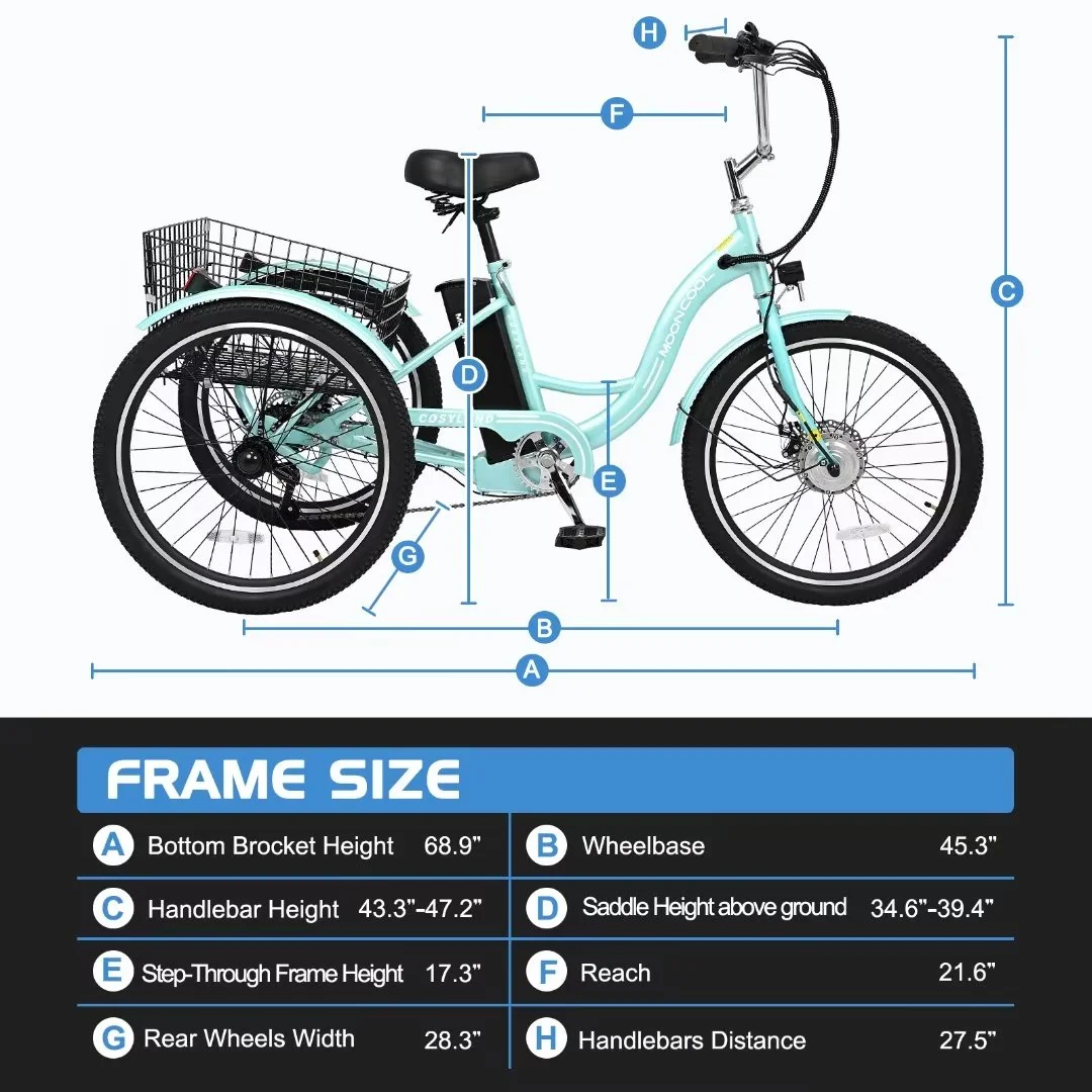 NAIZEA 24 3 Wheel Electric Bike for Senior, 350w Adults Electric Trike, Three Wheel Ebike Bicycle with Removable 36V 10Ah Lithium Battery