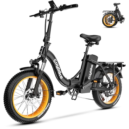 Folding Electric Bike for Adults with Peak 1000W Motor, 48V 20AH Battery up to 30MPH 80 Miles, 20" Fat Tire All Terrain Ebike