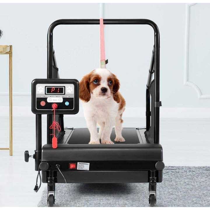 Costway Dog Treadmill for Small/Medium Dogs Indoors Pet Running Training Machine - Pet Supplies online store