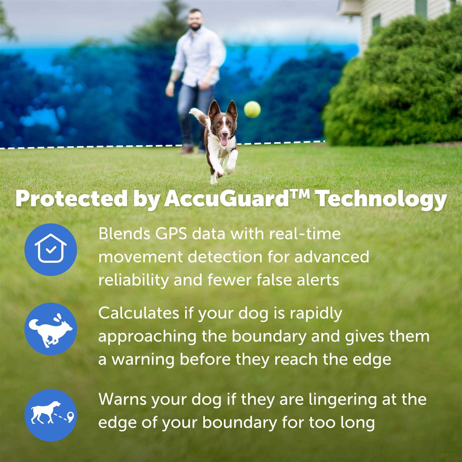 PetSafe Guardian GPS Wireless Dog Fence Collar - Pet Supplies online store