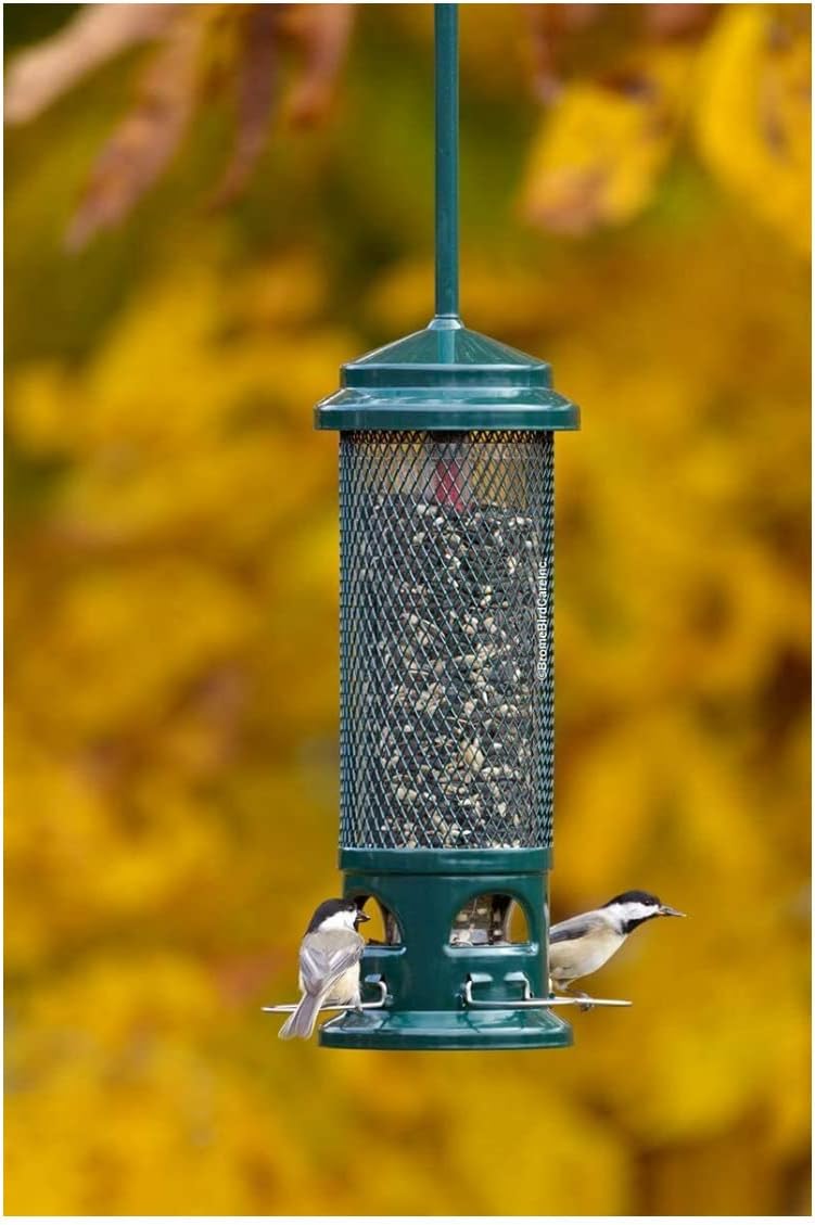 Squirrel Buster Legacy Squirrel-proof Bird Feeder w/4 Metal Perches, 2.6-pound Seed Capacity Pack of 2