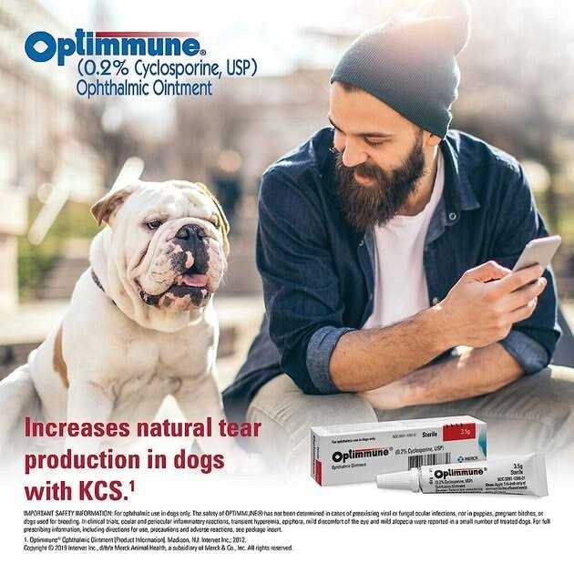 Optimmune Ophthalmic Ointment for Dogs - Pet Supplies online store