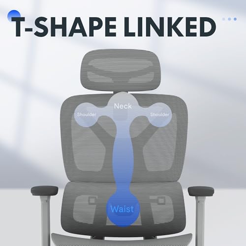 FLEXISPOT ErgoX Premium Ergonomic Office Chair with Footrest- Adjustable 3D Armrests, Dynamic Lumbar Support, Recline & Tilt Function, Mesh Seat