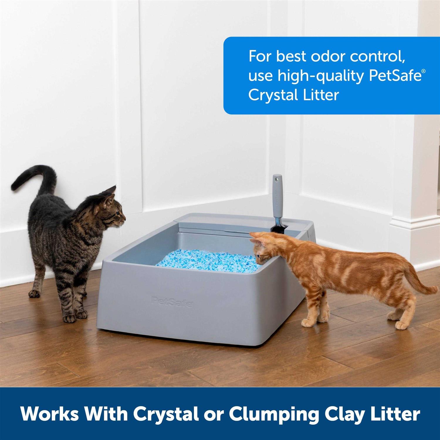 PetSafe Multi-Cat Litter Box - Pet Supplies online store