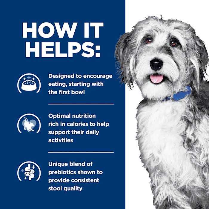 Hill's Prescription Diet ONC Care Wet Dog Food - Pet Supplies online store