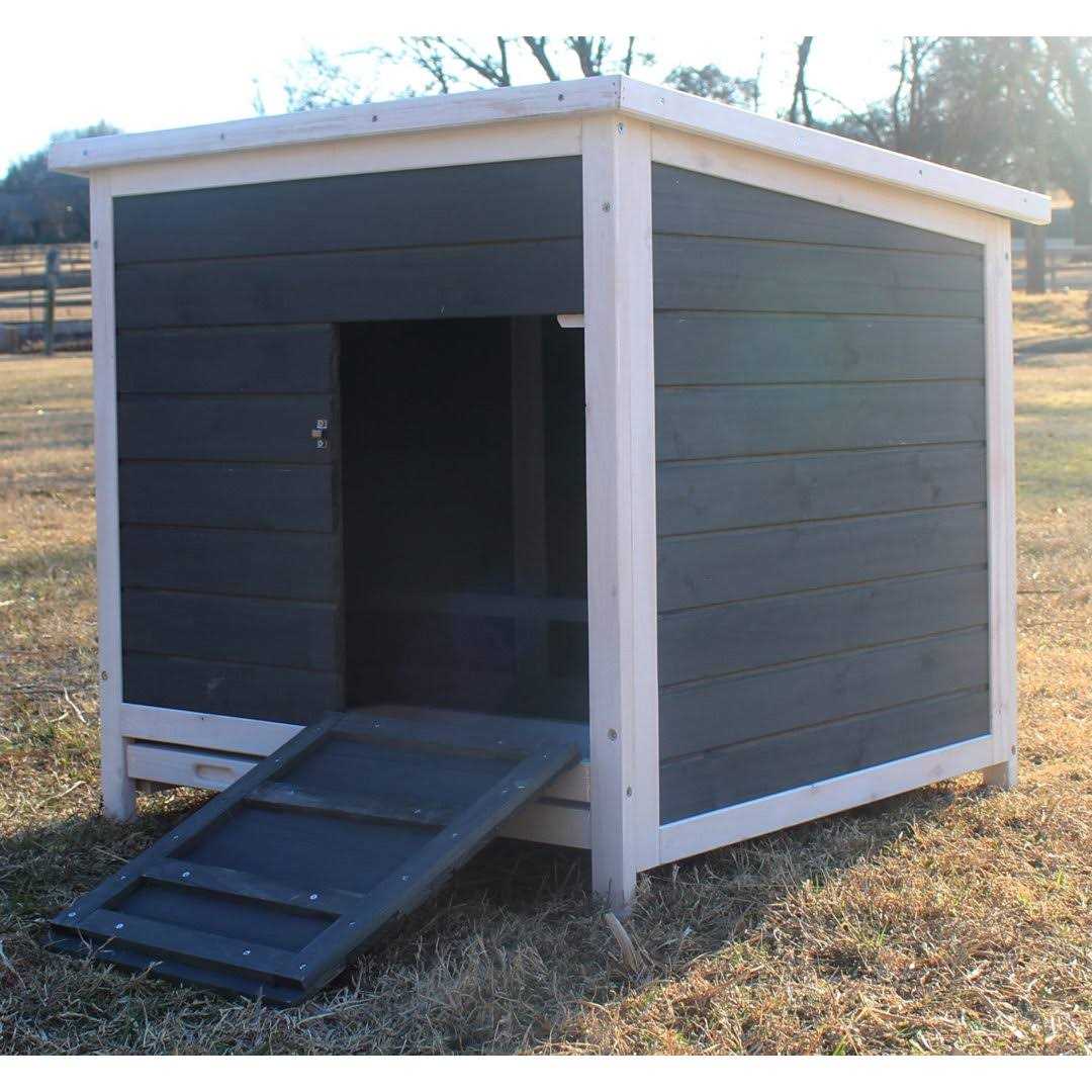 Nesting &amp; Roosting Box Zylina - Pet Supplies online store
