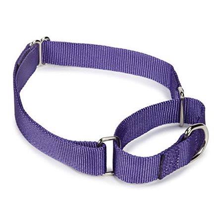 Bulk Lot Martingale Dog Collars at Wholesale Prices Nylon Collar Multi Packs(Purple - 14 to 20 inch 3 Collars)