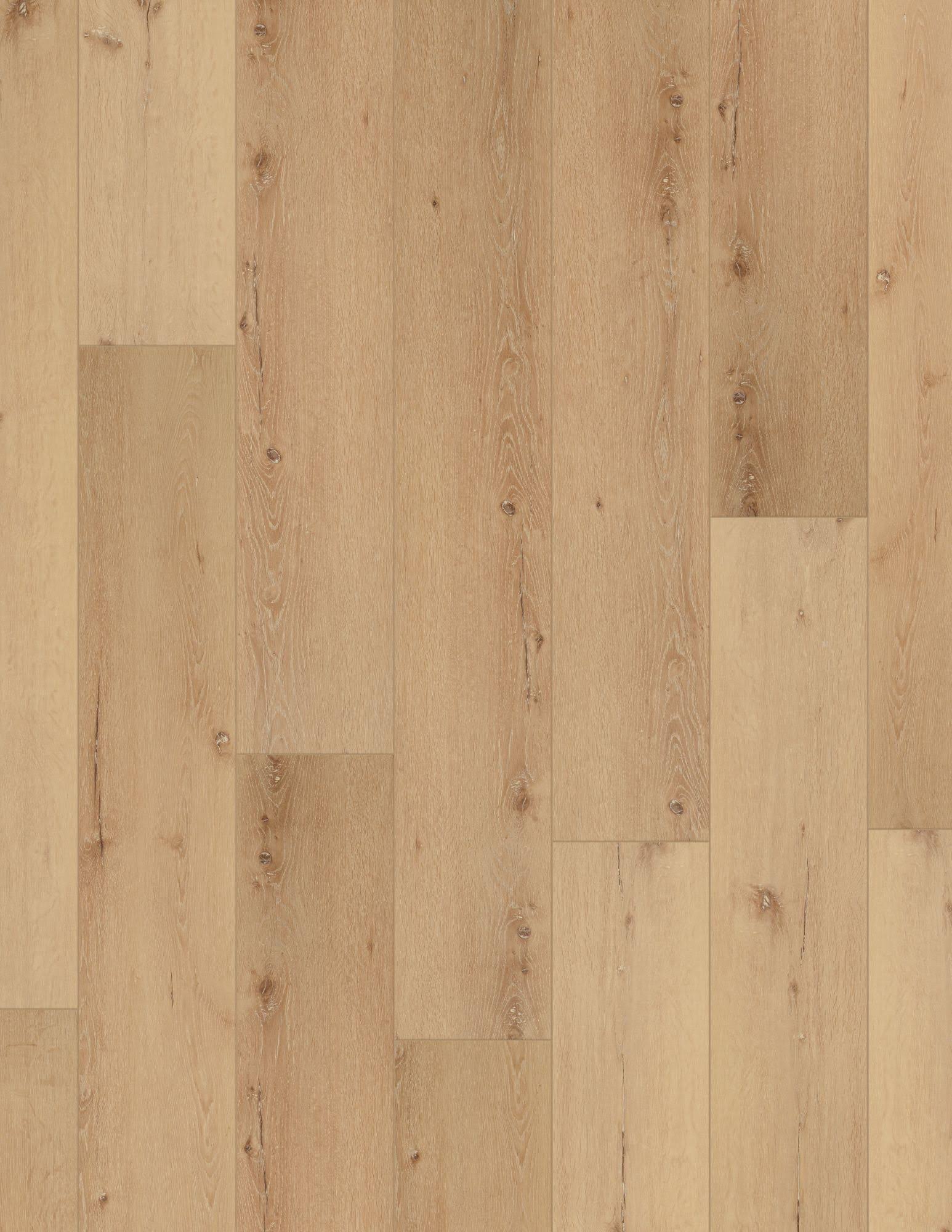 COREtec Pro Plus XL Enhanced Cairo Oak 9x22 x 73x22