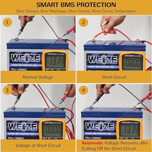 Weize 12V 100Ah TM Bluetooth LiFePO4 Lithium Battery, Built-in 120A BMS