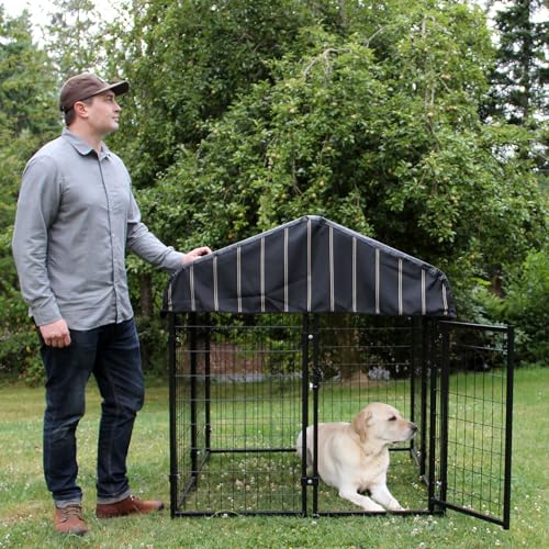 Stay Series 4 by 4 by 4.3 Feet Studio Jr. Black Powder Coat Steel Frame Outdoor Dog Kennel with Waterproof Canopy Roof and Gate Door, Khaki