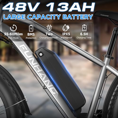 Electric Bike for Adults, 1000W Peak Ebike, 25MPH 60Miles Electric Mountain Bike, 26" Fat Tire Electric Bicycle with 48V 13AH Battery, Rear Rack