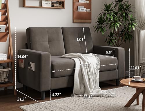 Txtin's Loveseat Sofa 53" Small Couches for Small Spaces 2 Seater Mini Couch for Bedroom Comfy Modern Love Seat for Apartment Office Living Room Brown