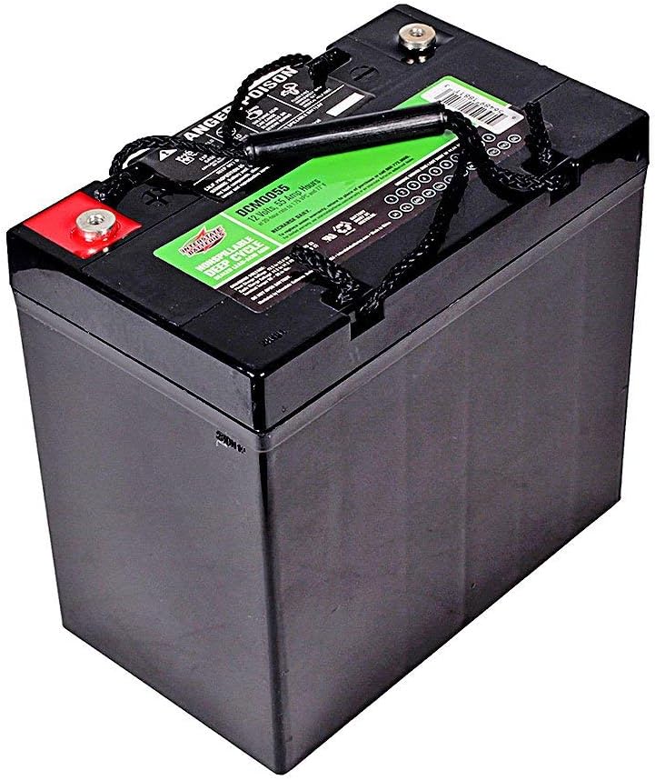 Interstate Batteries 12V 55Ah Deep Cycle Battery (DCM0055) Sealed Lead Acid Rechargeable SLA AGM (Insert Terminals) Wheelchairs, Scooters, ATVs