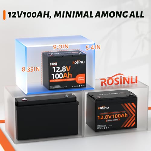 12V 100Ah BCI Group 24 LiFePO4 Battery, Built in 100A BMS, Max. 15000 Deep Cycle Lithium Rechargeable Battery for RV, Trolling Motor, Camping, Marine