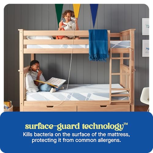 Sealy Dreamlife 12” Foam Mattress-in-a-Box, Full, SealyComfort Gel Memory Foam, SealySupport Transition Foam, Surface-Guard Technology