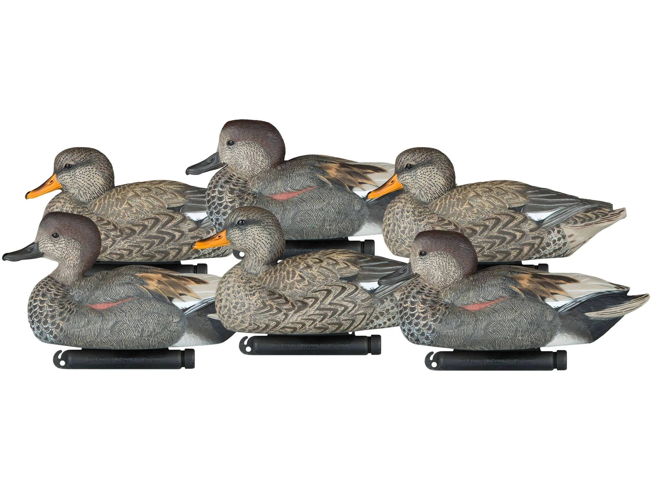 Dakota Decoy X-Treme Gadwall Decoys 6 Pack