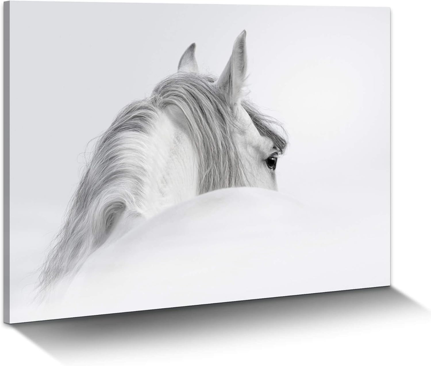 Bedroom Horse Canvas Wall Art: White Pony Picture Equestrian Print Large Modern Animal Portrait Artwork Contemporary Wildlife Painting for Bathroom