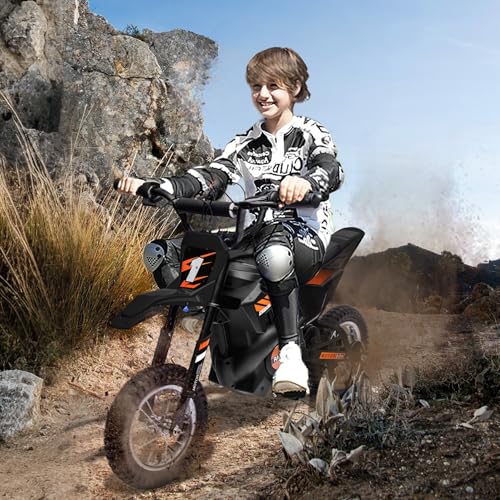 24V Kids Electric Dirt Bike 250W Motor Off-Road Motorcycle, 13.6MPH Fast Speed Powerful Motorcycle for Kids