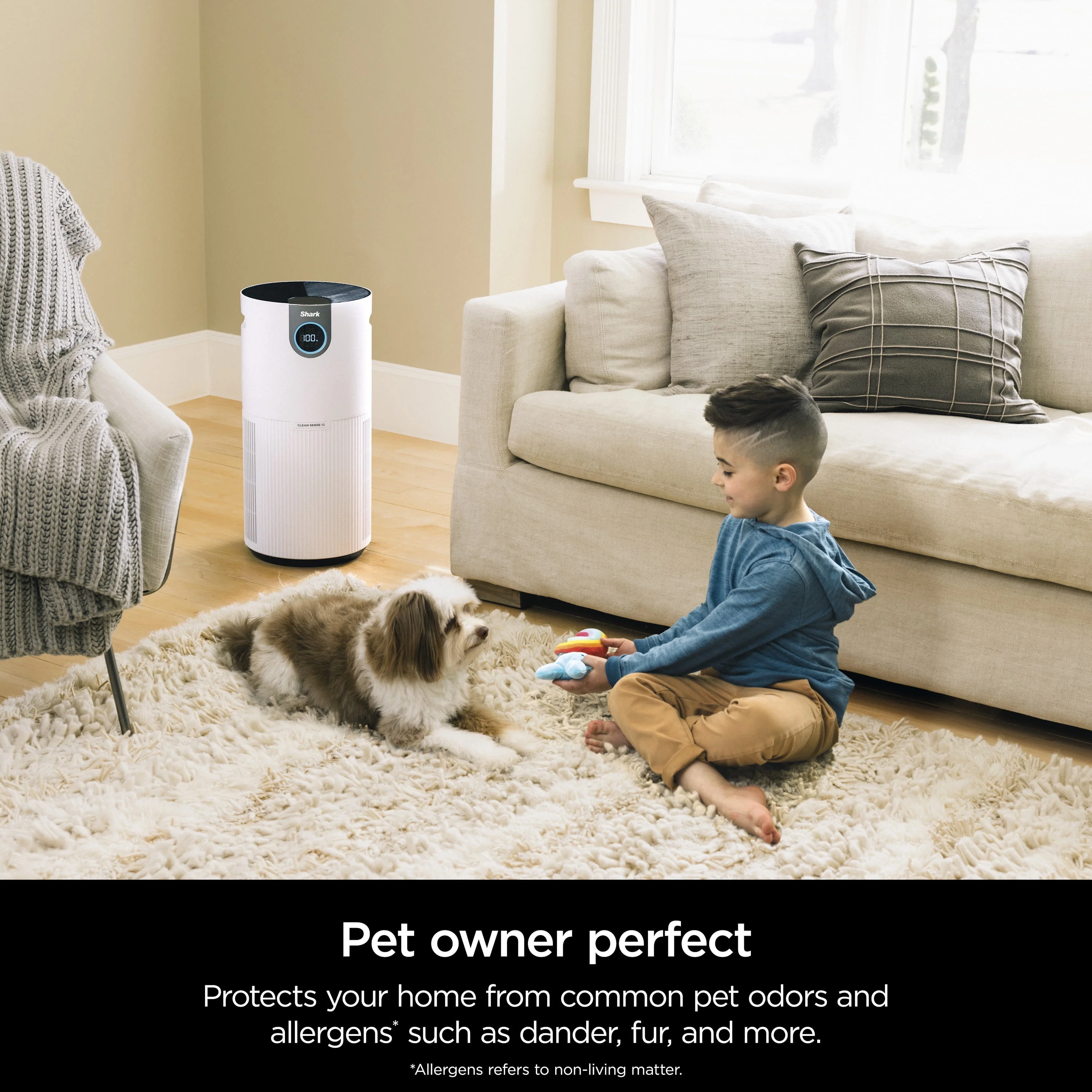 Shark Air Purifier with Nanoseal HEPA, Cleansense IQ, Odor Lock, Cleans up to 500 Sq. Ft, Charcoal Grey, HP100